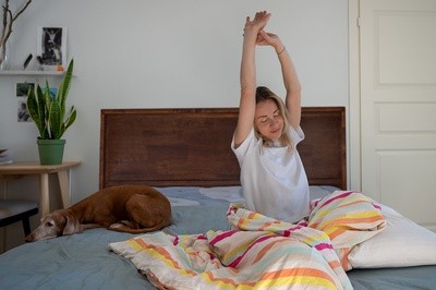a person stretching while an old dog is curled up on the bed next to them