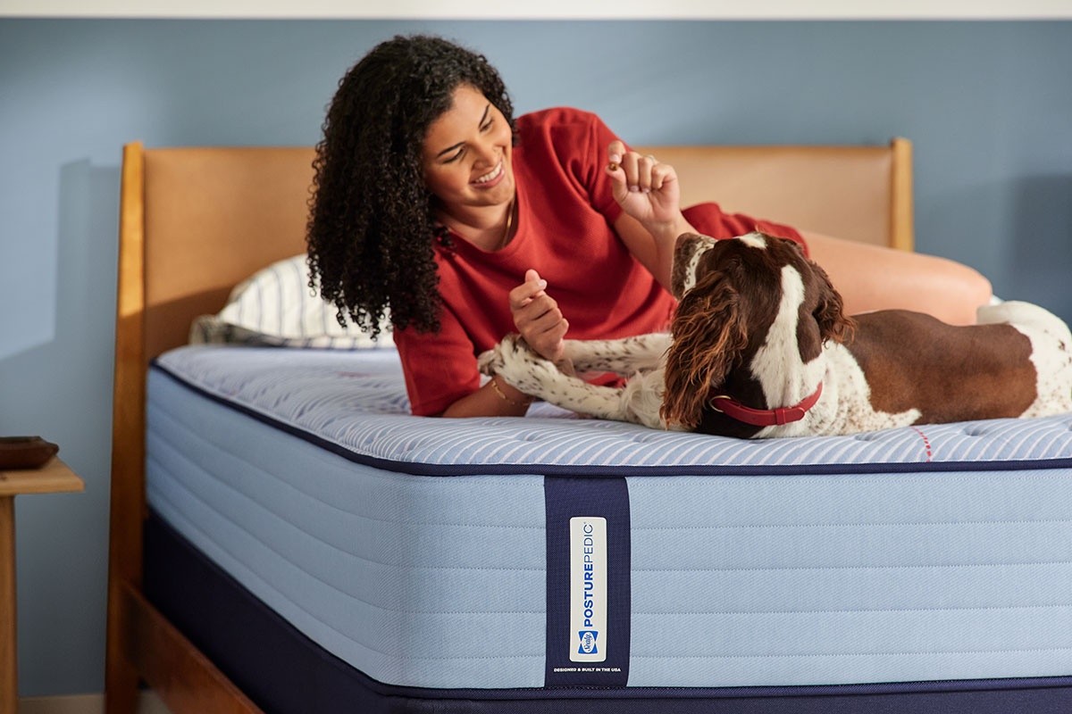 A woman and cocker spaniel on a Posturepedic Spring mattress in a styled room
