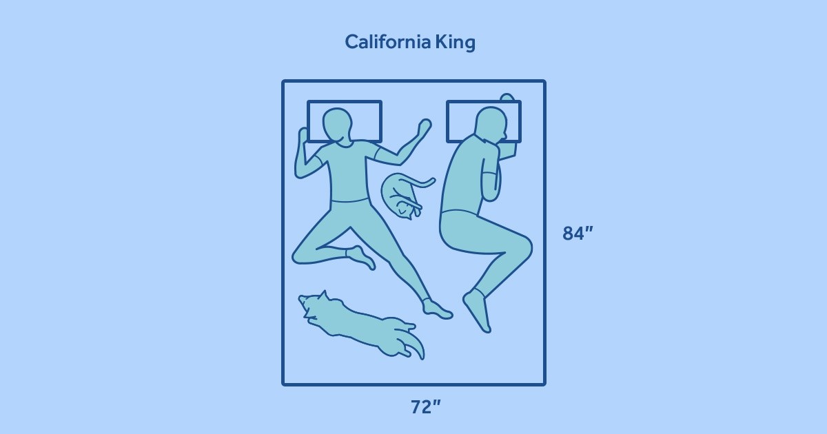 two animated people with dog and cat on california king mattress
