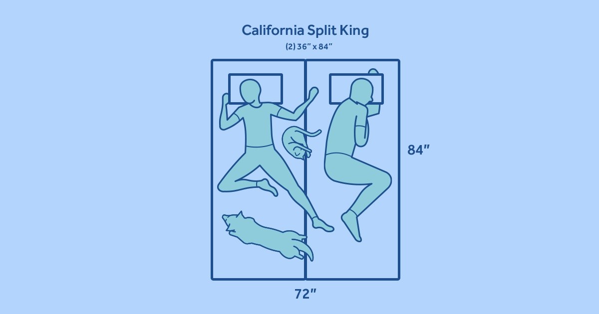 two cartoon people asleep in bed on a split cal king mattress with dog and cat