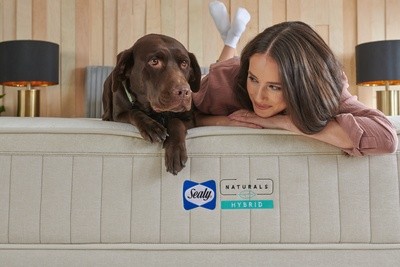 woman and chocolate lab laying on Sealy Naturals mattress with wood accent wall behind them