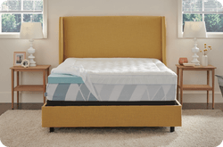 Sealy Dreamlife Topper with Cover on Top