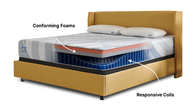 Dreamlife Hybrid Mattress Cutaway Showing Layers