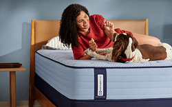 Woman laying with dog on the Posturepedic Spring mattress