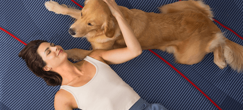 a woman with her golden retreiver relaxing on an Elite mattress model